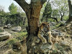 -西安秦岭野生动物园