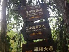 -呀诺达热带雨林