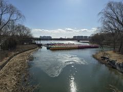 -大兴滨河森林公园