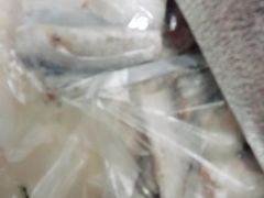 -昆明动物园