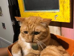 -小时光咖啡馆(开森度假森林店)