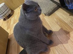 -壹人壹像工作室(购物公园店)