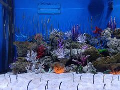 -成都浩海立方海洋公园