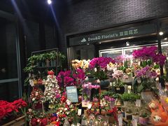 -豆豆花艺(新光天地店)