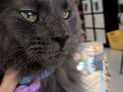 -平行世界·猫咖(首经贸店)