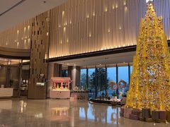 -东方美谷JW万豪酒店·The lounge大堂吧