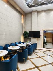 -碧莲盛·不剃发植发