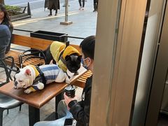 -81bakery(关山路店)