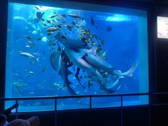 -太平洋海底世界