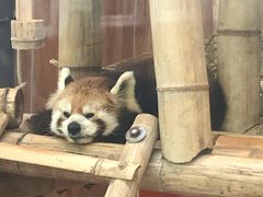 -无锡动物园·太湖欢乐园