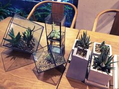 -柴务处·柴犬主题狗咖