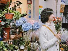 -溪岸路花鸟市场