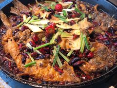 -老板恋上鱼(印象城店)