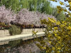-海棠花溪(元大都城垣遗址公园)