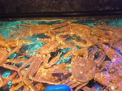 -忆江南·临江鱼馆