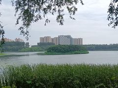 -丁香湖公园