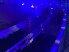 -石林冰雪海洋世界