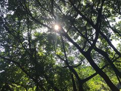 -广州市白云山风景名胜区