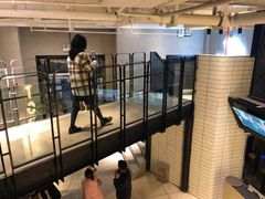 -一棠龙虾•王牌虾球(楚河汉街店)