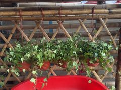 -苏渝汇重庆江湖菜(桐泾公园店)