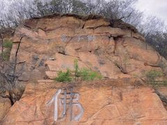 -北京西山国家森林公园