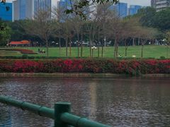 -深圳龙潭公园