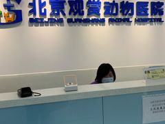 -北京观赏动物医院·24小时大型综合·猫专科·异宠专科
