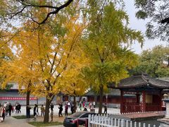 -北京国子监胡同