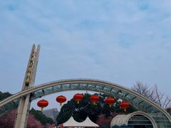 -南山植物园