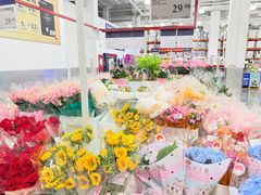 -山姆会员商店(上海浦东店)