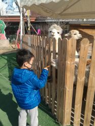 -萌宠亲子动物乐园(槐房万达店)