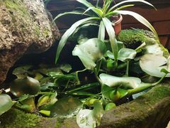 -符淼淼火锅(宽窄巷子店)