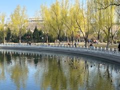 -莲花池公园