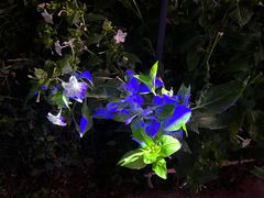 -黑龙江省森林植物园