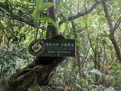 -海南铜鼓岭景区