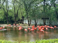 -石家庄市动物园
