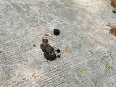 -放鸡岛生态旅游国际度假区