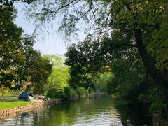 -上海共青森林公园