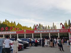 -五七小李子油焖大虾(总店)