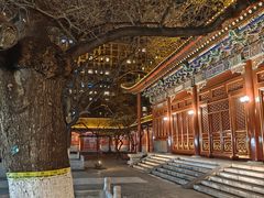 -中央音乐学院歌剧音乐厅