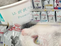 -美联众合动物医院·24h京西诊疗中心