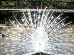 -秦皇岛野生动物园