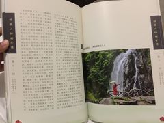 -姑婆山森林酒店