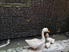 -水乡人家私房菜(逢简店)