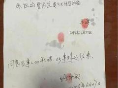 盛京一禾-盛京一禾