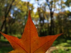 -长春公园(普阳街道)