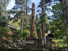 -东天目山风景区
