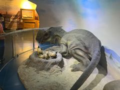 -国家自然博物馆