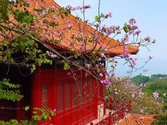 -南沙天后宫景区