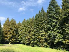 -山王坪喀斯特国家生态公园